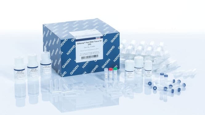 QIAamp Fast DNA Tissue Kit, 50