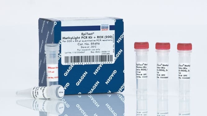 EpiTect MethyLight PCR +ROX Kit (200)