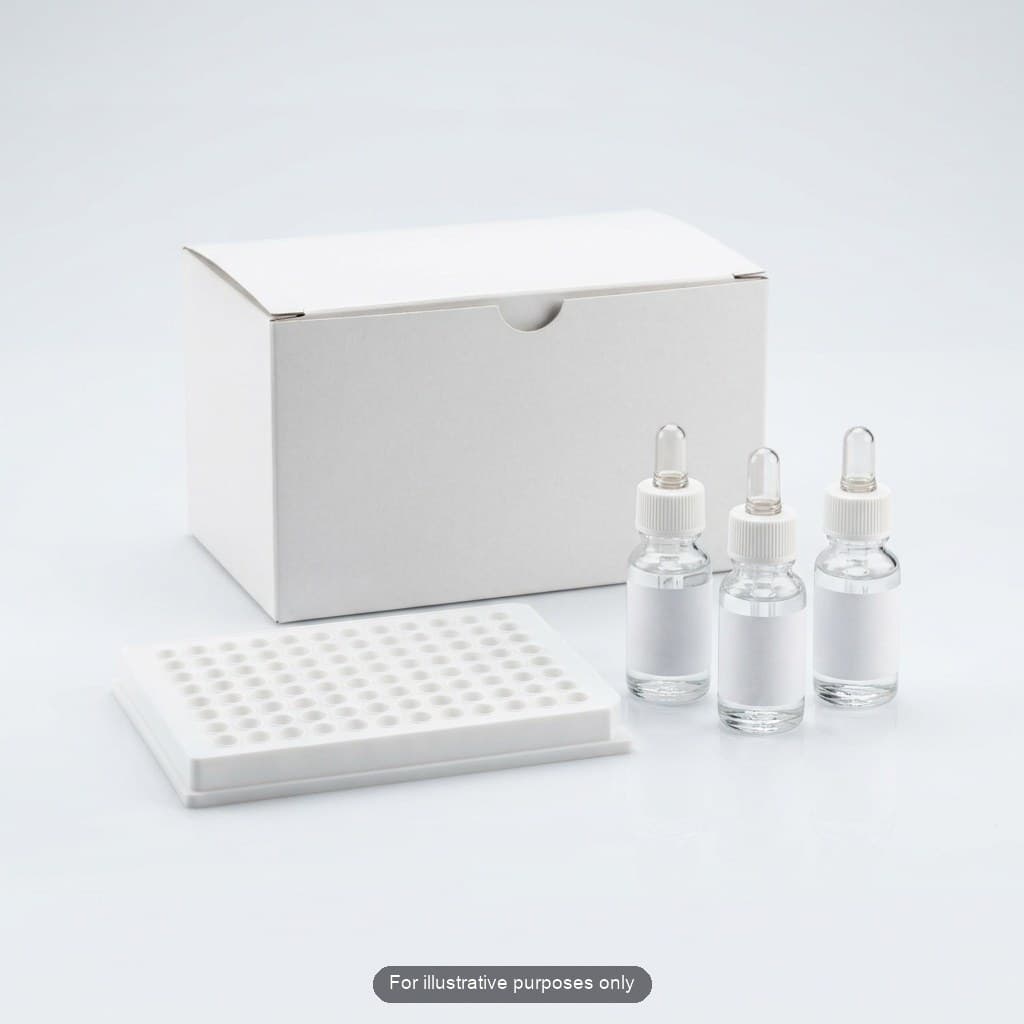 Rat PHB (Prohibitin) CLIA Kit (RTES00468)