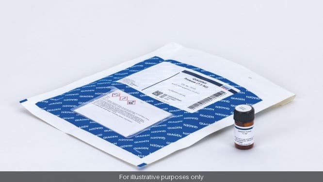 Protease Solvent 6x (10,2/15), Azid