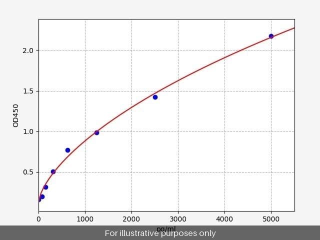 Rabbit Myoglobin/MYO ELISA Kit