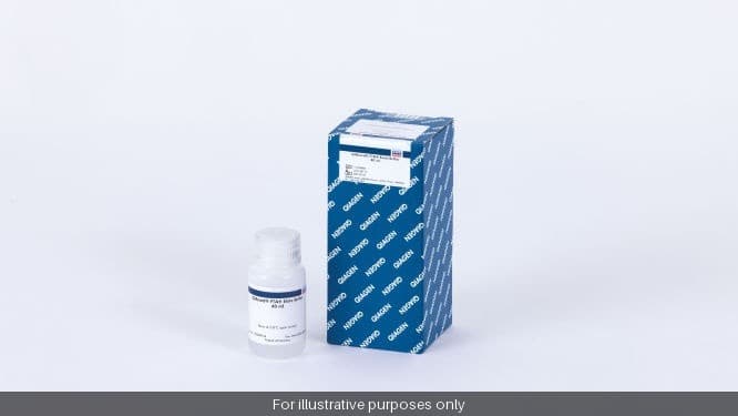 Buffer ALO (10 ml)