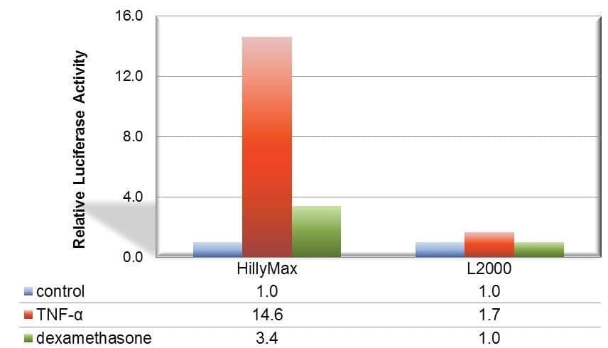 HilyMax