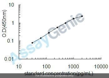 Human Matrix metalloproteinase-14 (MMP14) ELISA Kit