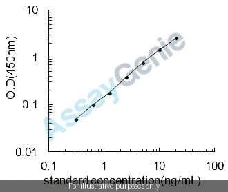 Human Zymogen granule protein 16 homolog B (ZG16B) ELISA Kit