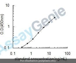 Human Neurogenic locus notch homolog protein 4 (NOTCH4) ELISA Kit