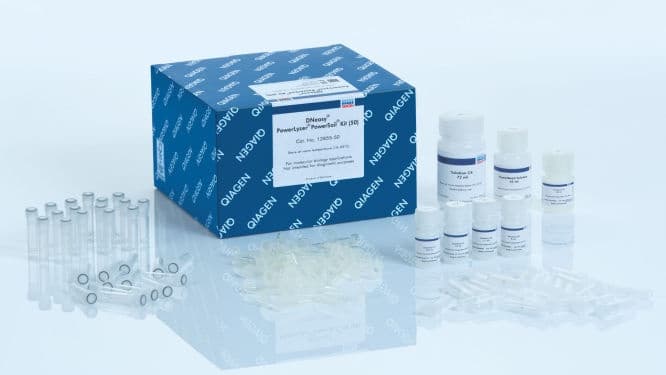 DNeasy PowerLyzer PowerSoil Kit (100)