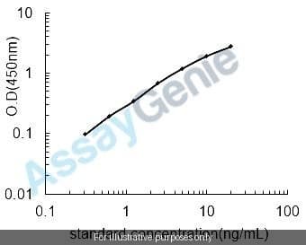 Mouse Kallikrein-7 (Klk7) ELISA Kit
