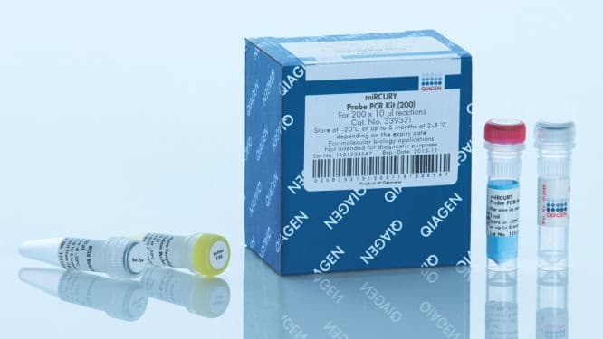 miRCURY Probe PCR Kit (200)