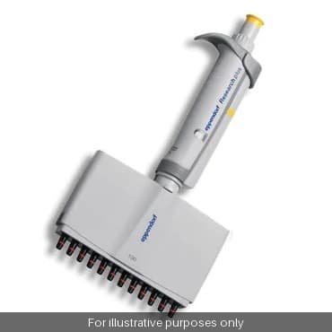 Eppendorf Research® plus 12-channel, variable, 10 - 100 µL, yellow