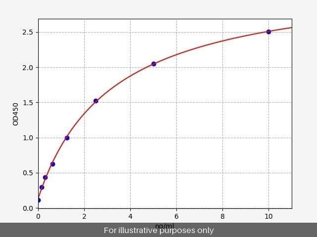 Monkey VWF (Von Willebrand Factor) ELISA Kit