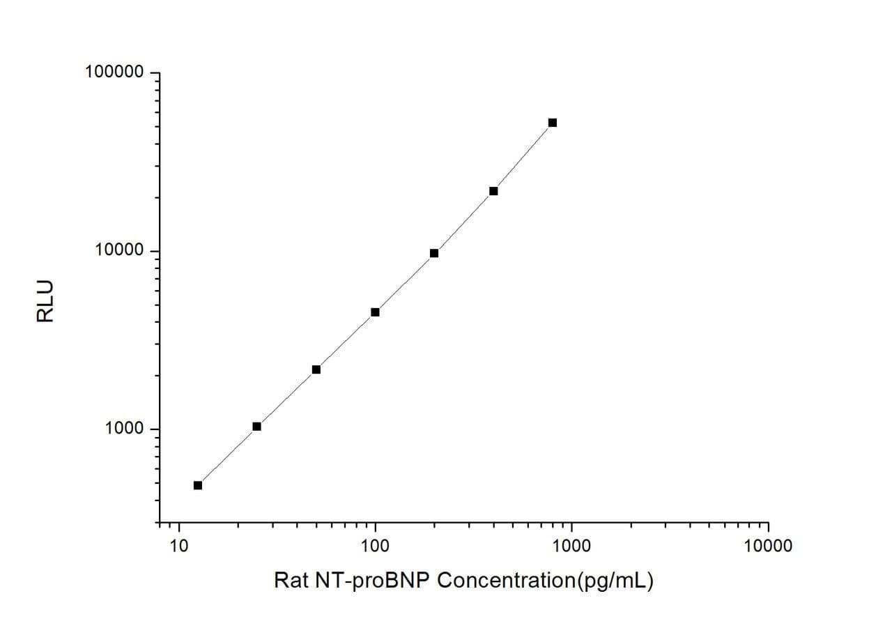 Rat NT-proBNP (N-Terminal Pro-Brain Natriuretic Peptide) CLIA Kit (RTES00412)