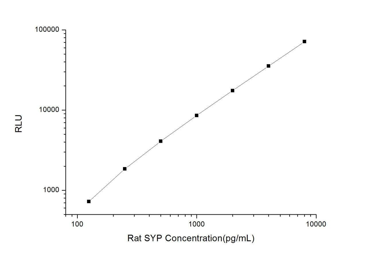 Rat SYP (Synaptophysin) CLIA Kit (RTES00530)