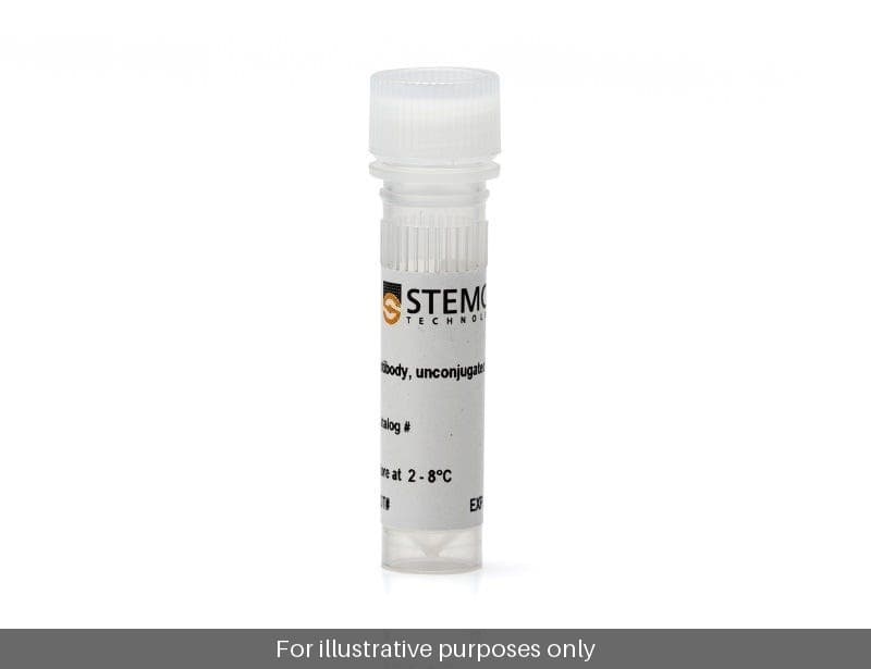 Anti-Hu 25, BC96, UC, 100µg