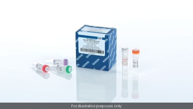 QuantiNova SYBR Green RT-PCR Kit (100)