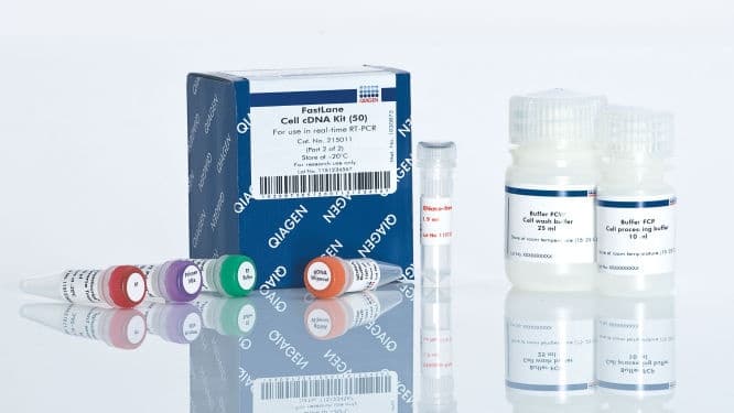 FastLane Cell cDNA Kit (50)