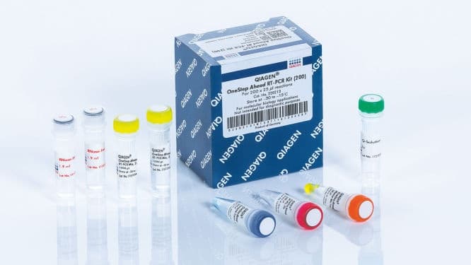 OneStep Ahead RT-PCR Kit (50)