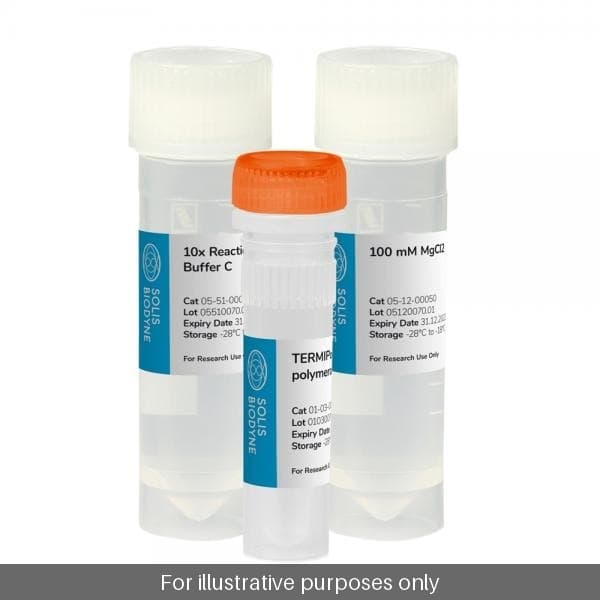 HOT TERMIPol® DNA Polymerase