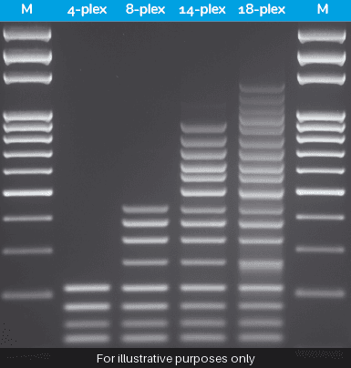 HOT FIREPol® Multiplex qPCR Mix