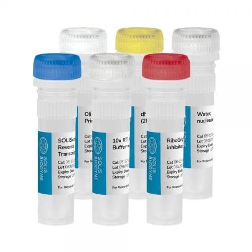 SOLIScript® RT cDNA synthesis KIT (200 rxn)