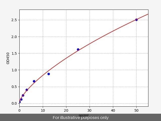 Human MIF ELISA Kit