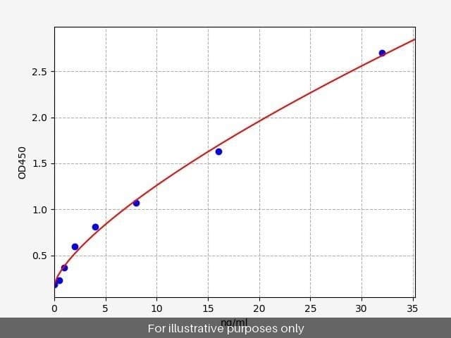 Human MMP 2 ELISA Kit