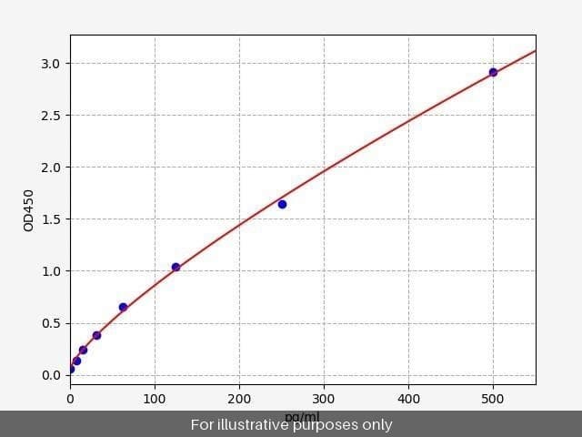 Human PROK1/EG-VEGF ELISA Kit