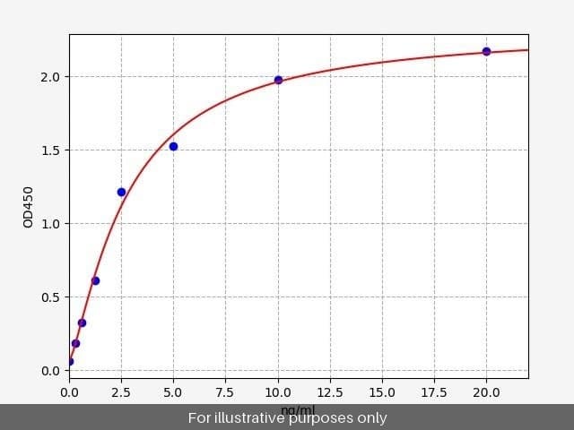 Human ERR gamma/NR3B3 ELISA Kit