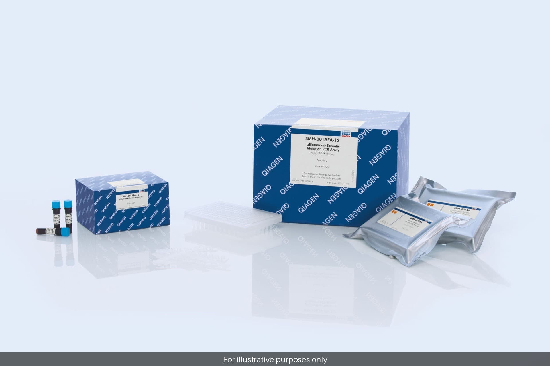 qBiomarker Somatic Mutations PCR Arrays