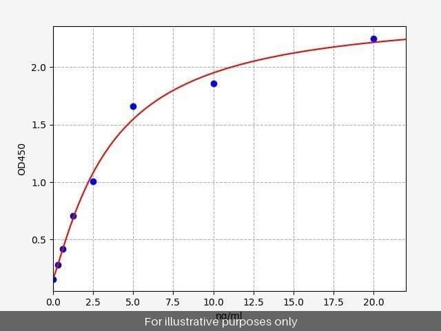 Human MOCOS/Molybdenum cofactor sulfurase ELISA Kit