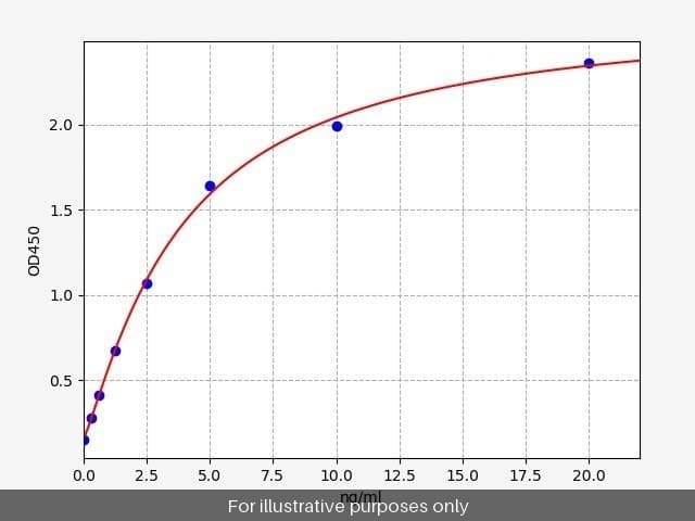 Human HCN4 ELISA Kit