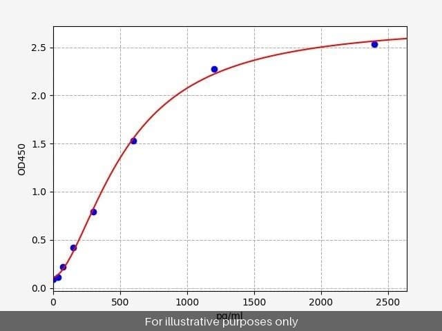 Human LOXL2/Lysyl Oxidase Homolog 2 ELISA Kit