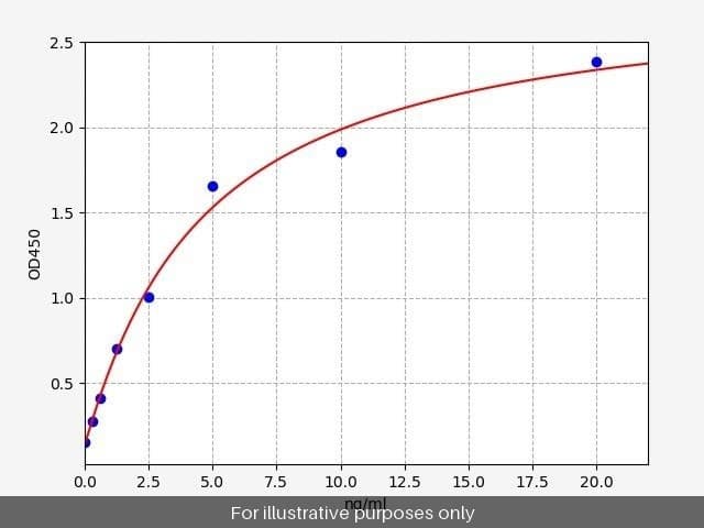 Human ACTN2/Sarcomeric Alpha Actinin ELISA Kit