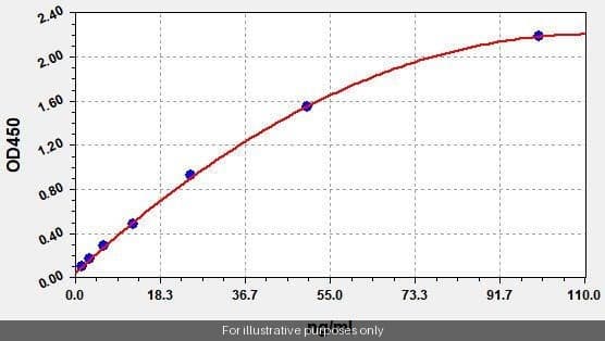 Human KLHL17/Kelch-like protein 17 ELISA Kit
