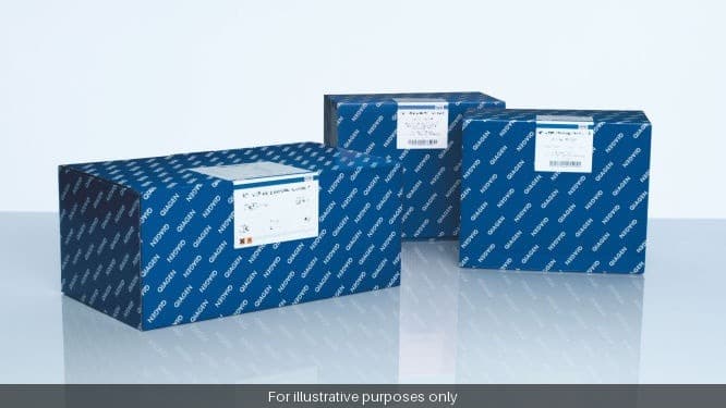 miRCURY LNA miRNA ISH Kit 1 (FFPE)