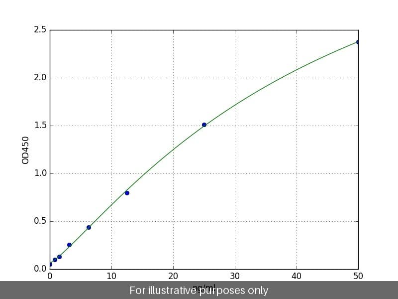 Human RAB11A ELISA Kit
