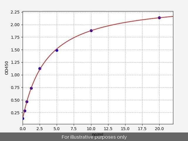 Human 12-LO/ALOX12 ELISA Kit