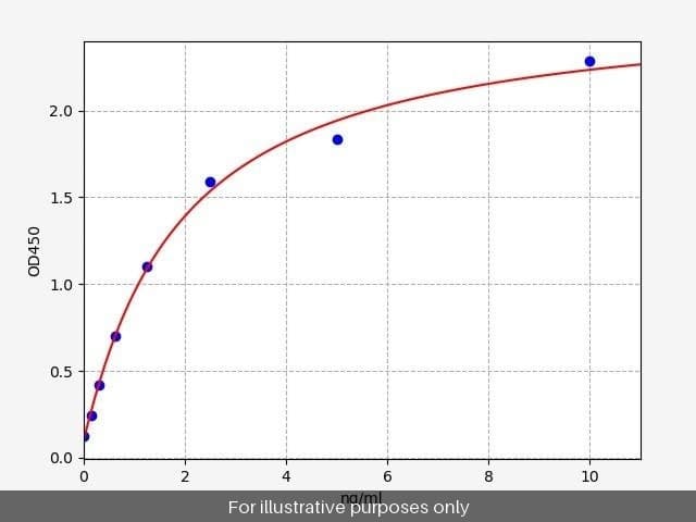 Human CNN1/Calponin-1 ELISA Kit