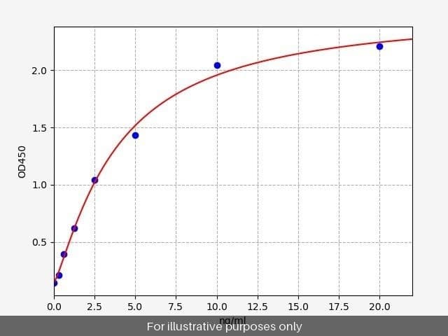 Human Synaptophysin ELISA Kit
