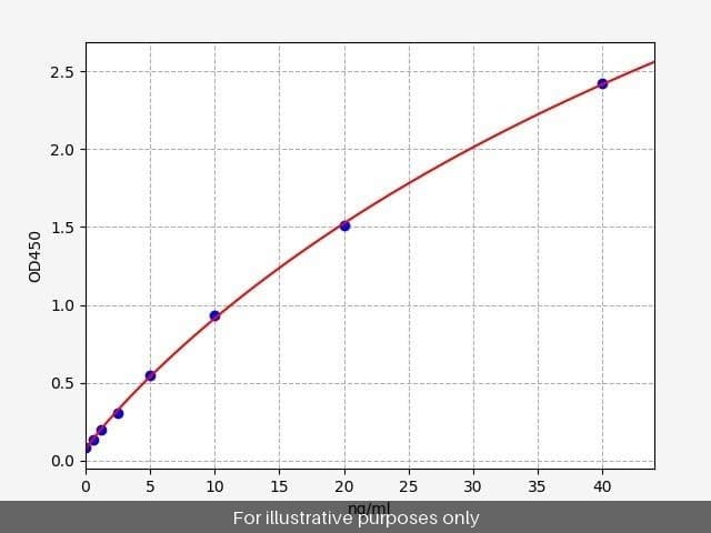 Human Smad3/MADH3 ELISA Kit