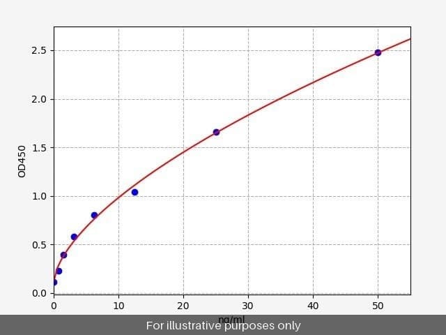 Human SMOX/Spermine oxidase ELISA Kit