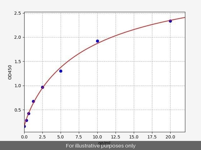 Human SORBS1 ELISA Kit