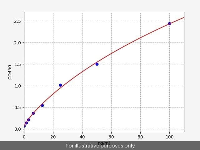 Human PRKCE/PKC epsilon ELISA Kit