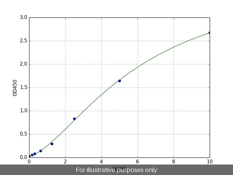 Human BIN1/Myc box-dependent-interacting protein 1 ELISA Kit