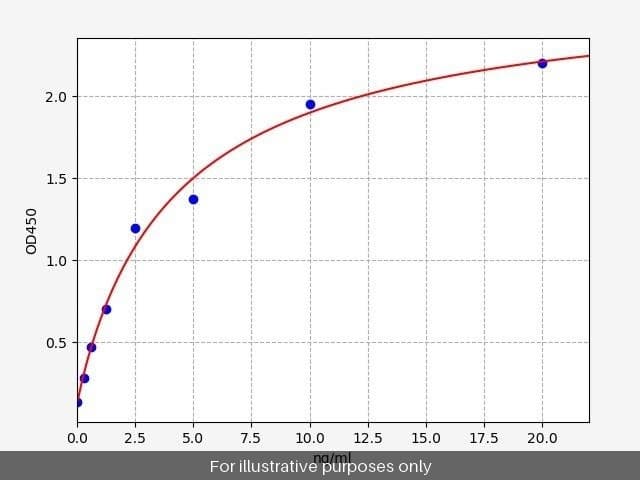 Human Calcineurin ELISA Kit