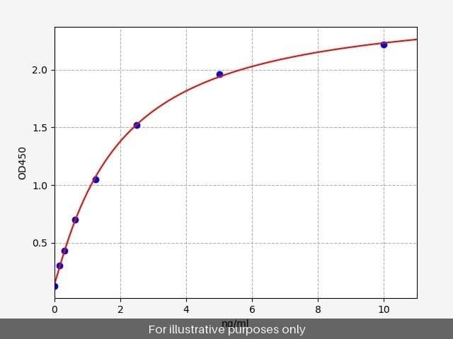 Human CK20/KRT20/Cytokeratin 20 ELISA Kit
