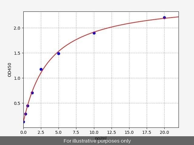Human F13b/Factor XIII ELISA Kit