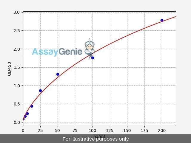 Human FBLN4/Fibulin 4 ELISA Kit
