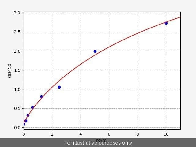 Human FoxC1/Forkhead Box Protein C1 ELISA Kit