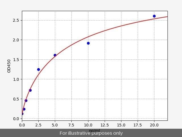 Human Nucleoporin p62/NUP62 ELISA Kit